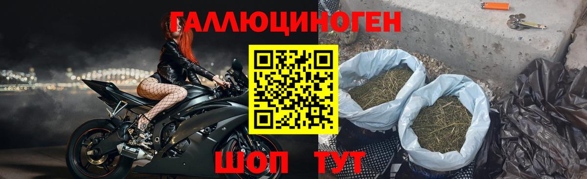 Серов  Галлюциногенные грибы Cubensis  Вход с VPN 